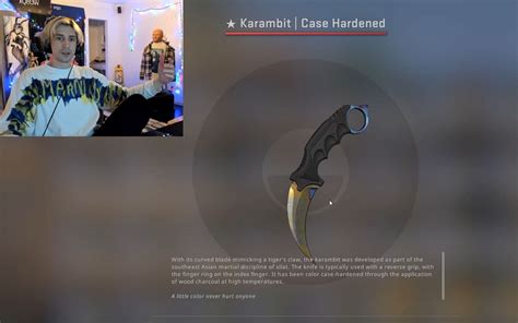 What csgo cases have karambits  CS:GO Weapon Case 2